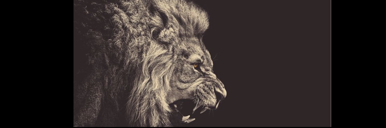 ariaadt's profile banner image