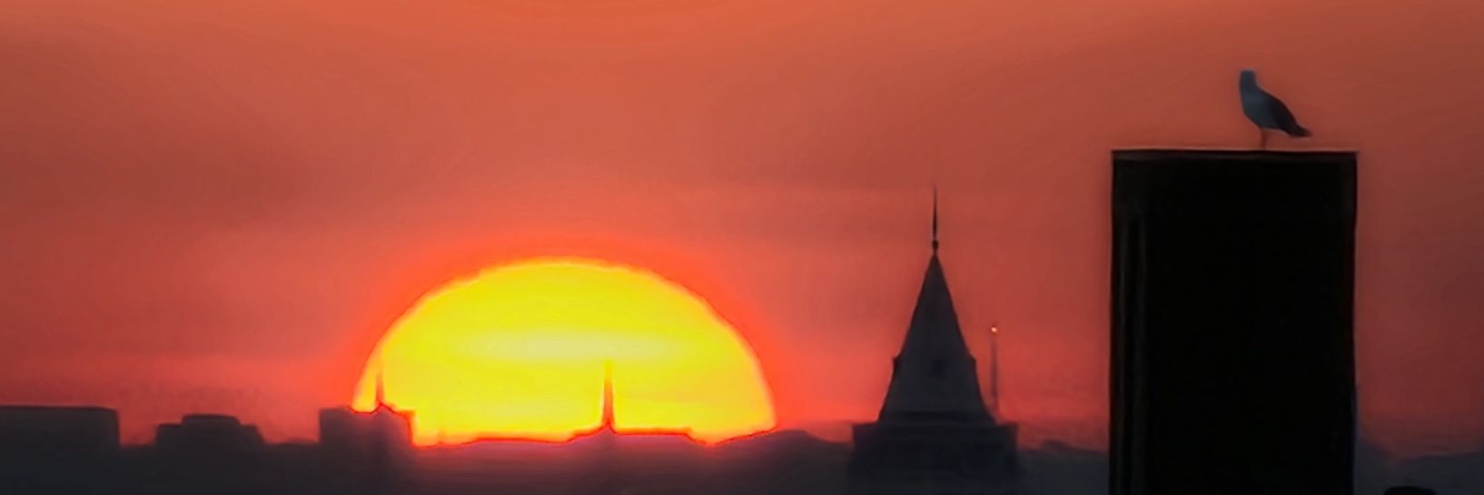 okefatih's profile banner image