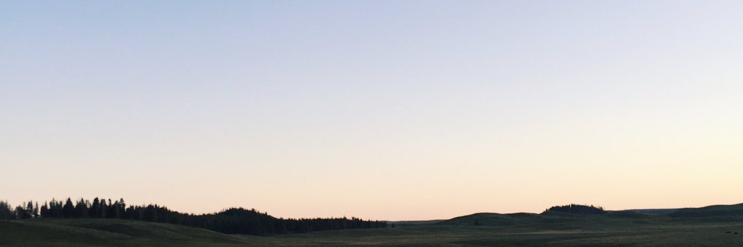 seizeitnoww's profile banner image