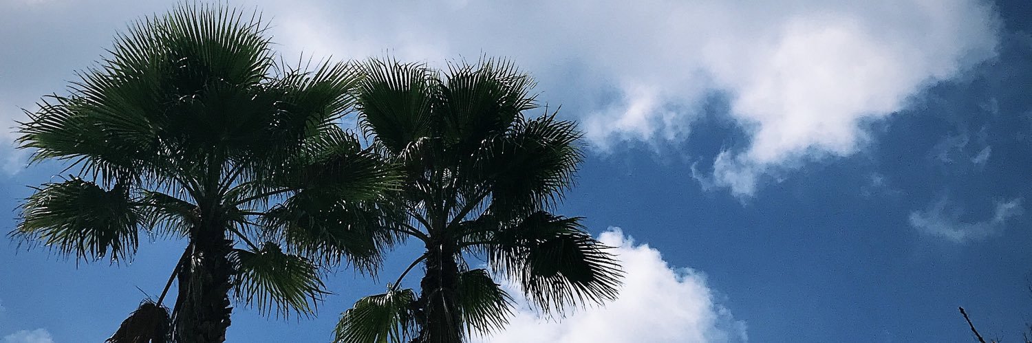 HaleyPiasecki's profile banner image