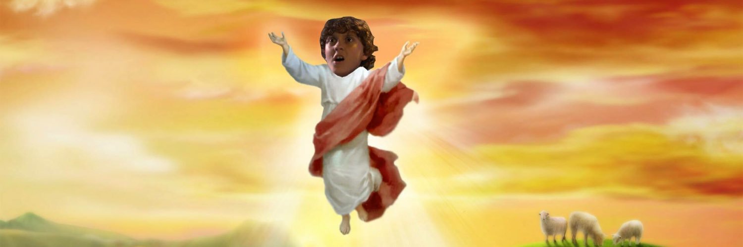 MollyZollo's profile banner image
