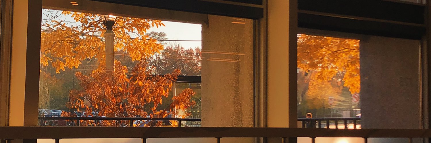 elwalkerwalkel's profile banner image