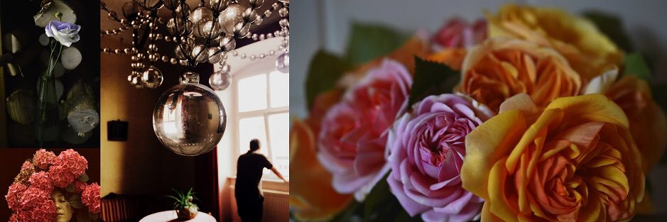 Ruth Frobeen schreibt. banner