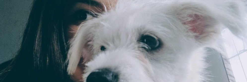 MiniIveth's profile banner image