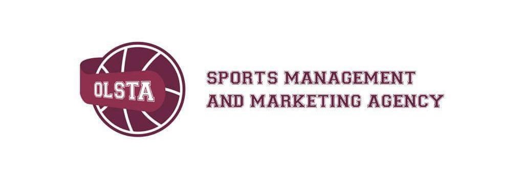 Vladimir Lukajic banner