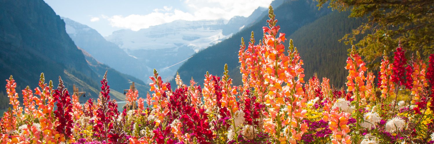 FionaY 🇺🇦🇨🇦🇬🇧🇬🇪🇬🇱 banner