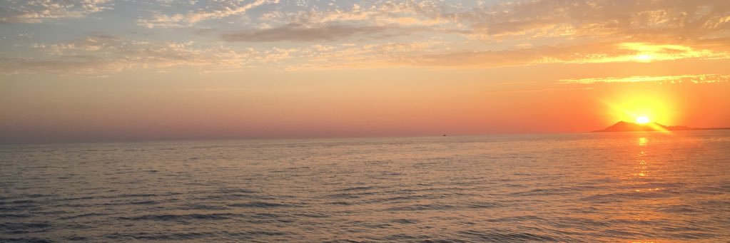 TerryKaitlyn's profile banner image