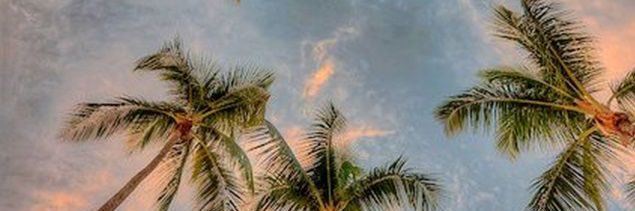 AnyVillegas4's profile banner image