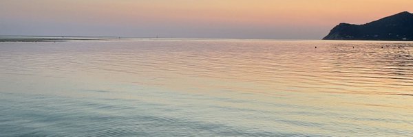 MillsReggie Profile Banner