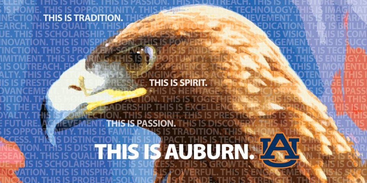Ae0aU's profile banner image