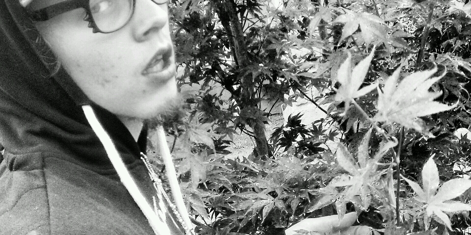Lucci_GTDM's profile banner image