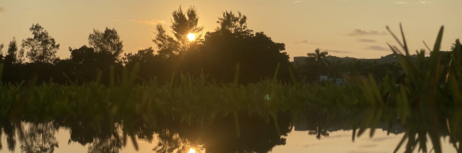 HangerGuillermo's profile banner image