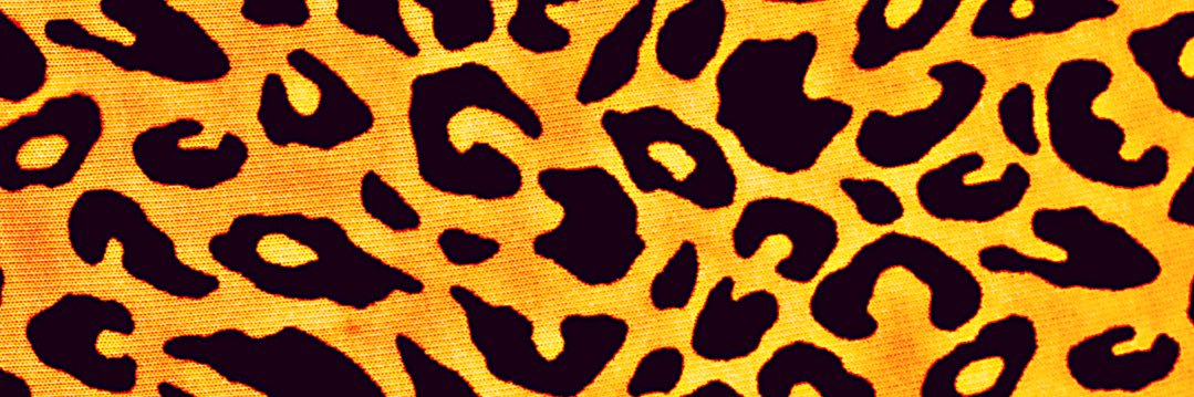 treasure_lay's profile banner image