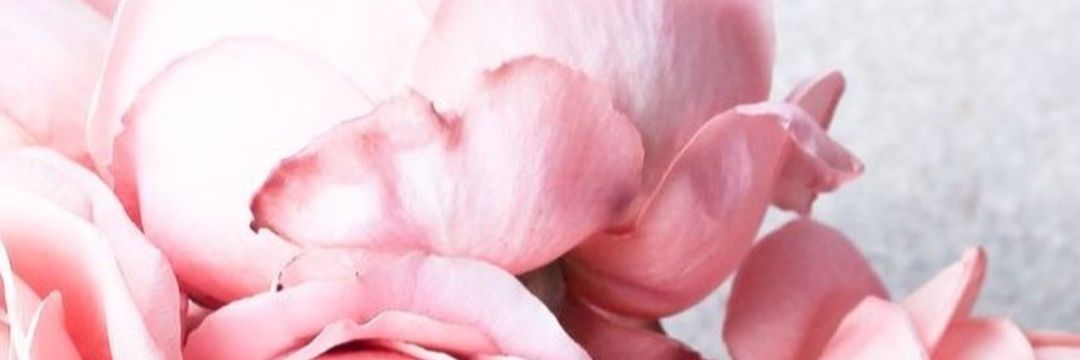 FlowerMcunu's profile banner image