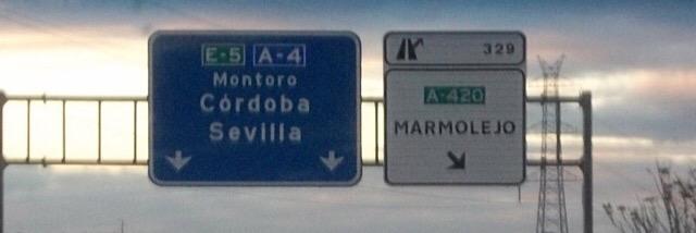 BeccaMarmolejo's profile banner image