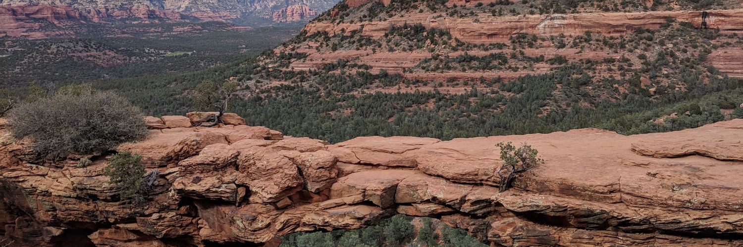 jtreds82's profile banner image