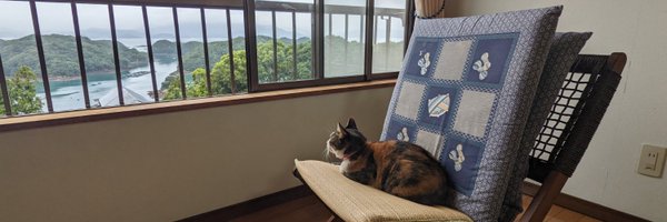 shingo Profile Banner