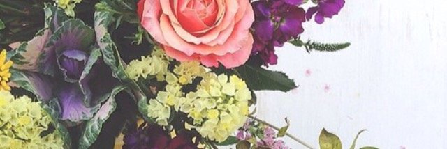 lin_higgins's profile banner image