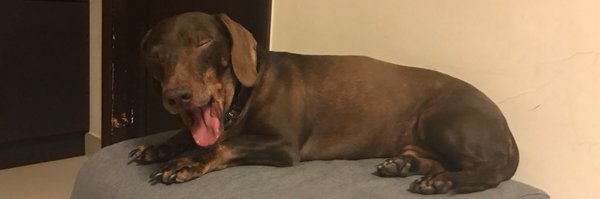 jacjacjacq9 Profile Banner