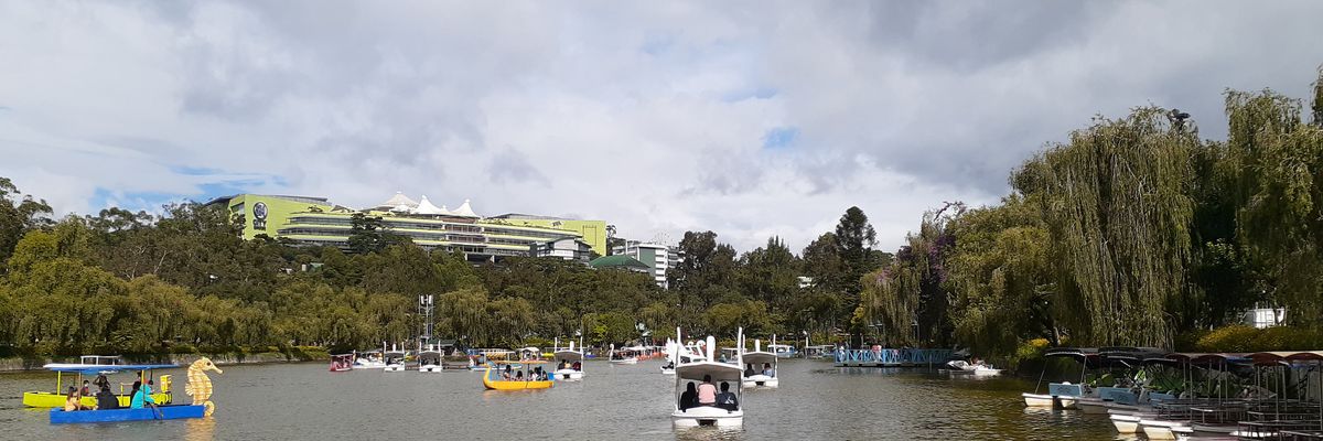 paulitike's profile banner image