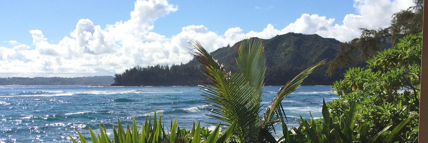 4hilary's profile banner image