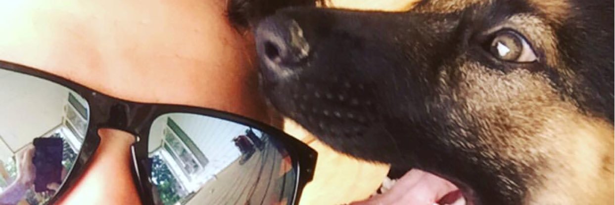 greggs8's profile banner image