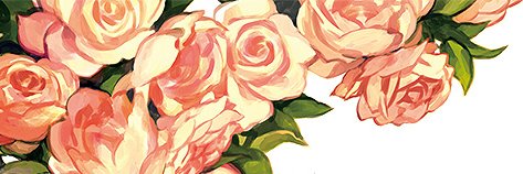 tkan_2's profile banner image