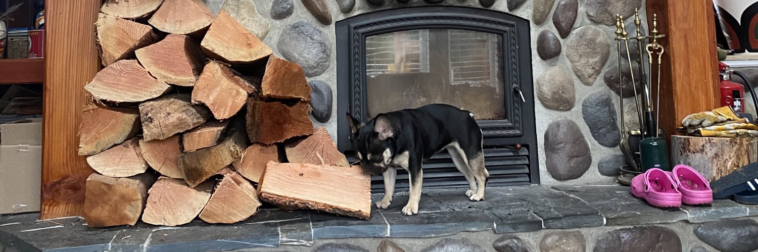 Frank Scigliano banner