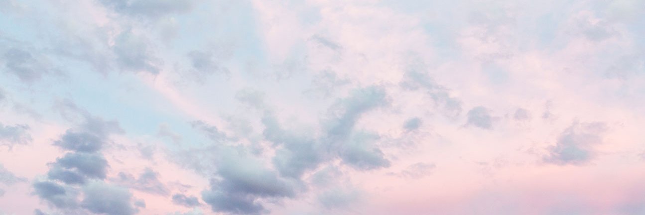jules_willcox's profile banner image