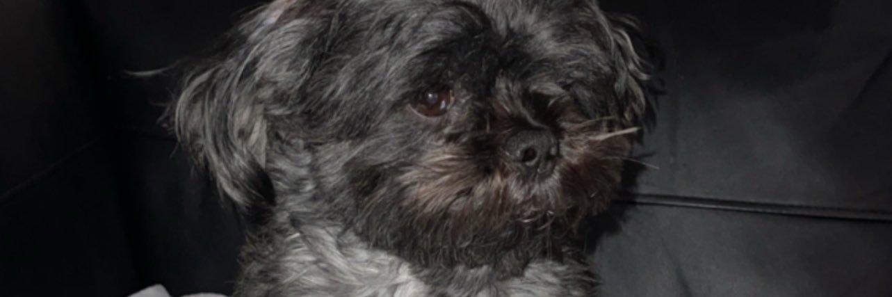 Missbuggiee's profile banner image