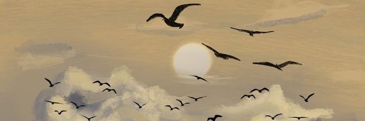 mehtapnp's profile banner image