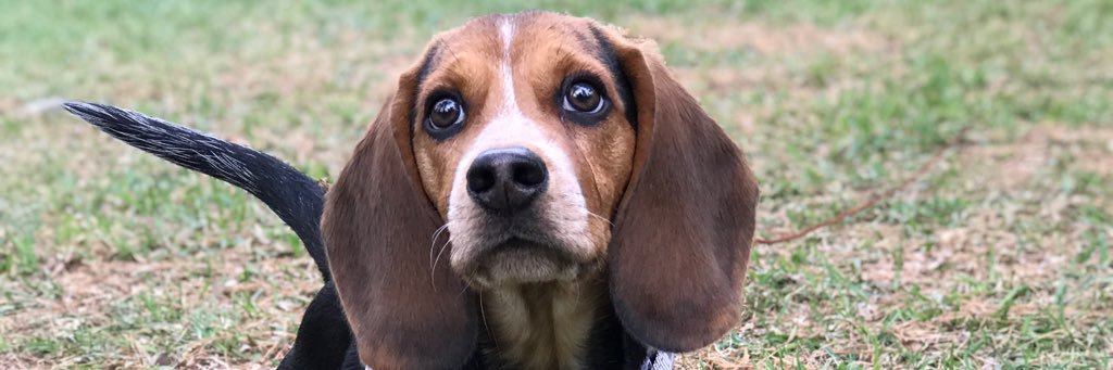 dan_dan___'s profile banner image