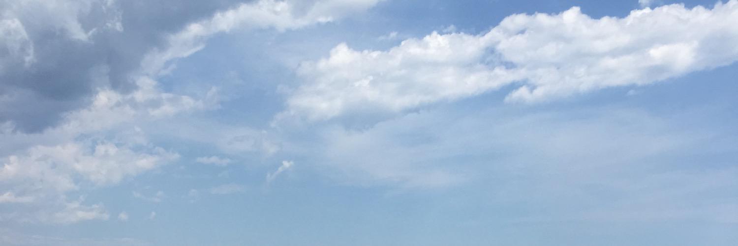 samnorell's profile banner image