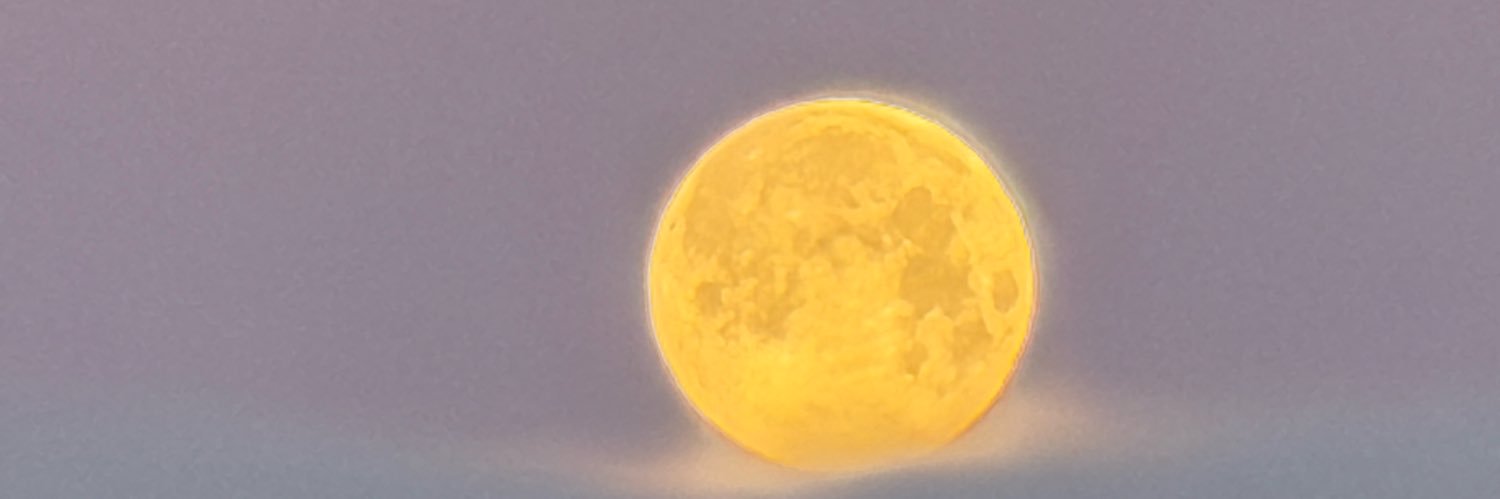 ceadog's profile banner image