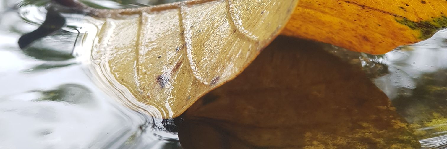 ابراهيم البلوشي banner