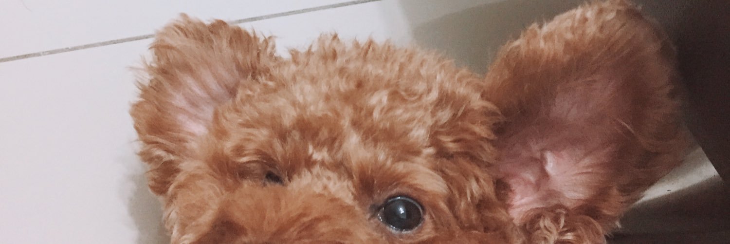 Noelletty's profile banner image