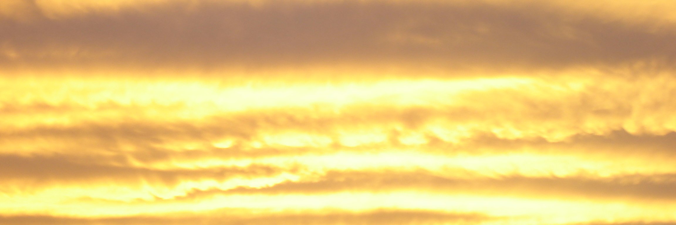 sablestorm's profile banner image
