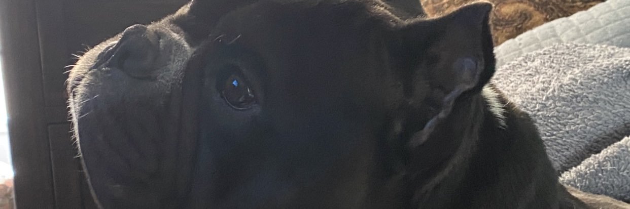 pimpinken5's profile banner image