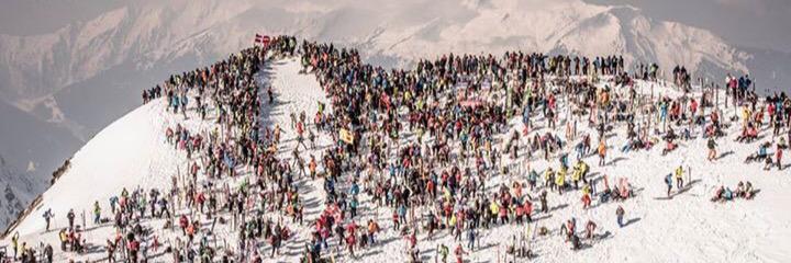 Michele Boscacci banner