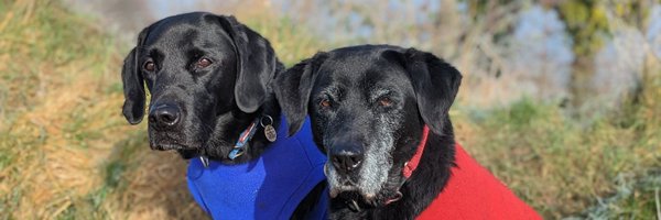 HumberstoneEmma Profile Banner