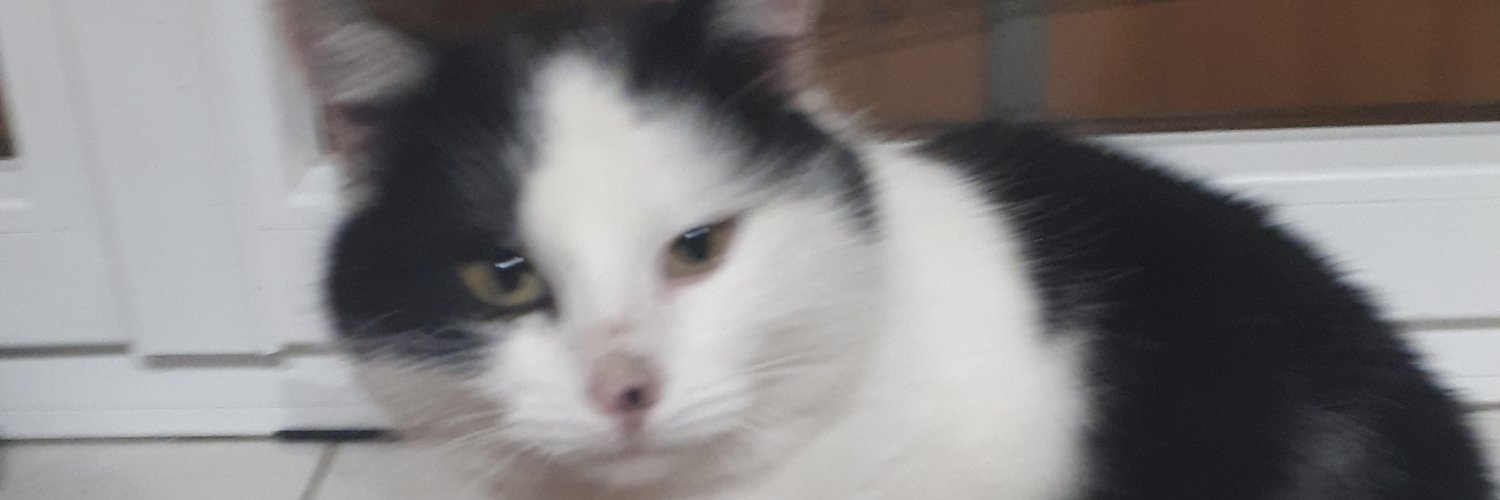 Jerlaf's profile banner image