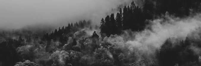 hosseinbasser's profile banner image