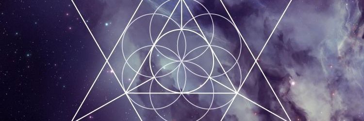 spirallia's profile banner image