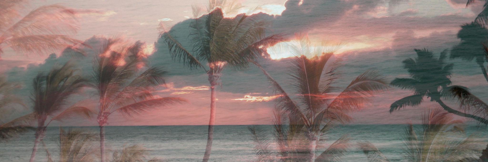 goalstein's profile banner image
