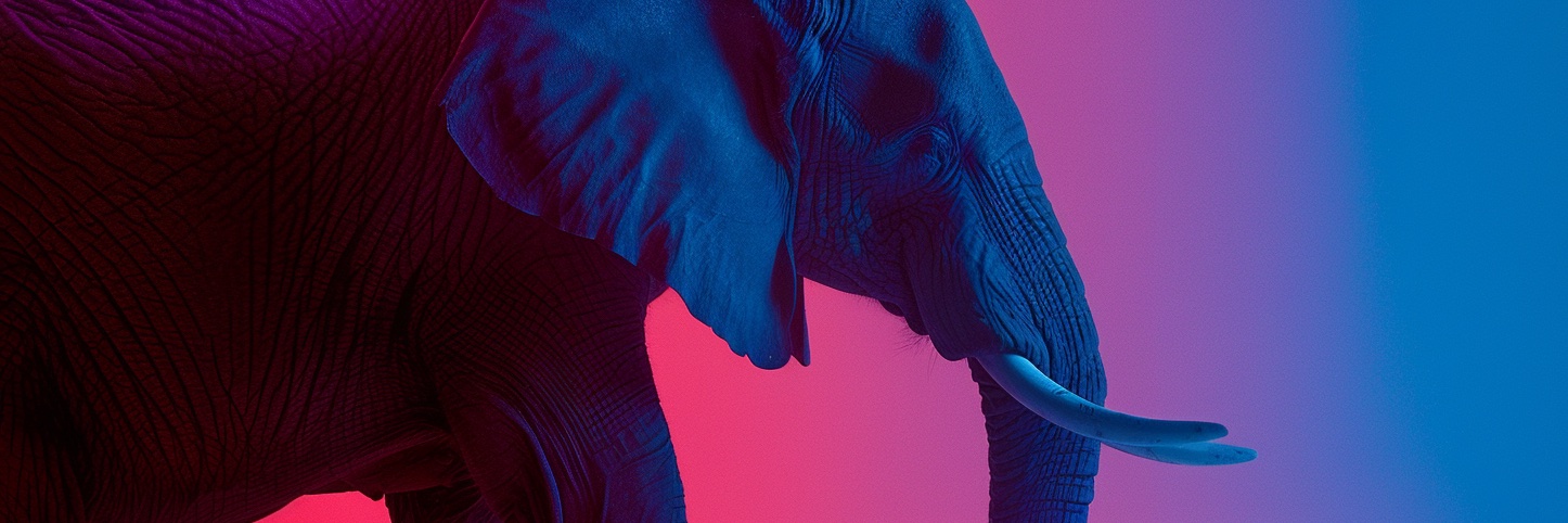 Viktor Hanacek banner