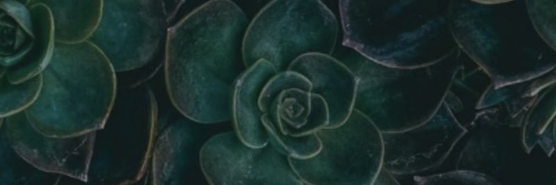 JessWerdel's profile banner image