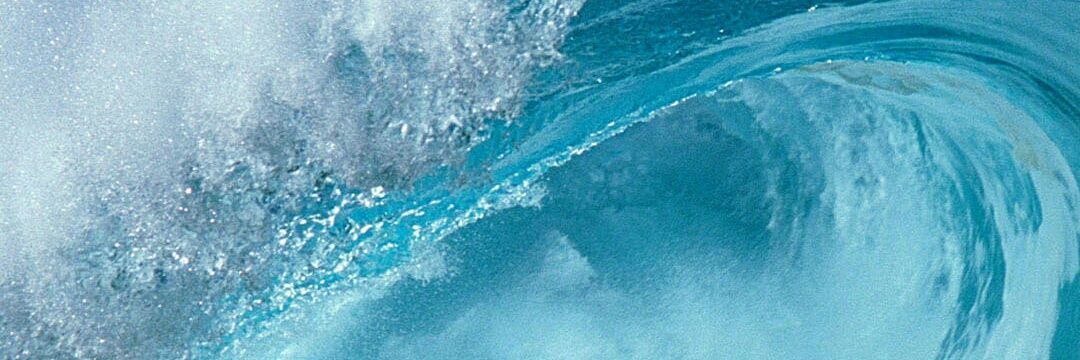 cicci84's profile banner image