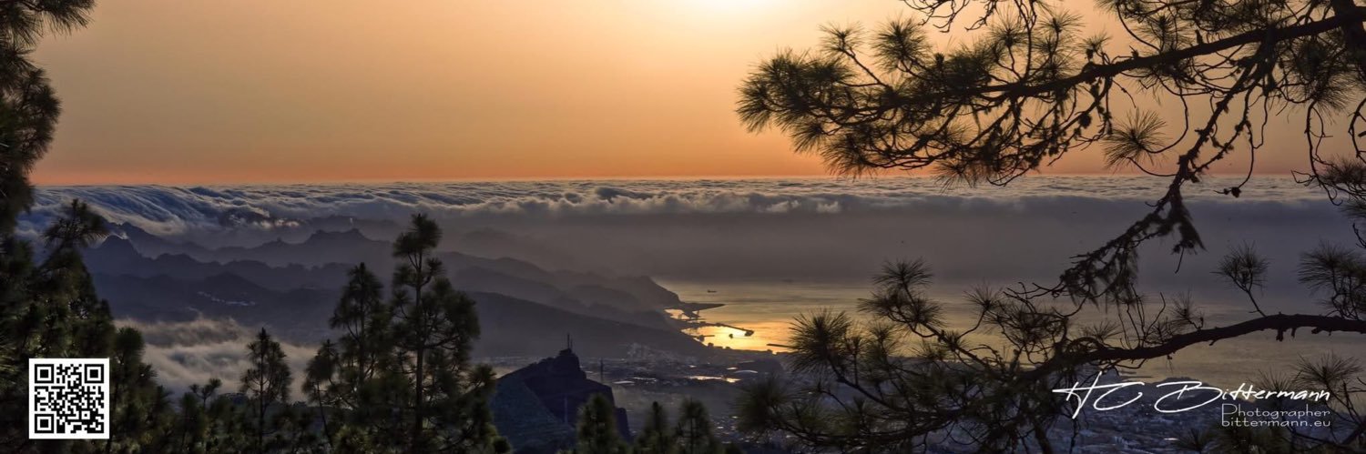 HC Bittermann 🕊️ banner