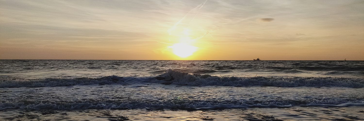 madisonscole's profile banner image