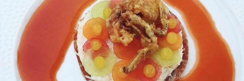 Britt v. Capelleveen banner